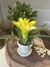 Mini Vaso com Bromélia