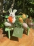 Imagem do Banquinho do Coelho!