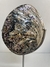 Castiçal de Abalone Natural - loja online