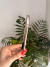 Mate XL rojo (con dijes) - tienda online