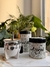 Set matero Ilustrado x3 - (blanco y negro) - comprar online
