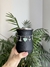 Mate Verona (negro)