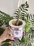 Mate XL blanco (con dijes) en internet