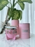 Set matero Rosa x3 en internet