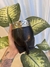 Imagen de Mate Imperial negro + grabado + CAJA PERSONALIZADA (Calabaza)