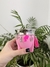 Mate Barbie