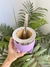 Mate XL lila (sin dijes) en internet
