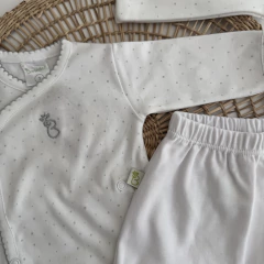 Set recibidor pintitas gris en internet