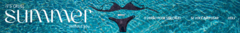 Banner da categoria SUMMER 