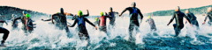 Banner da categoria Triathlon