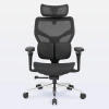 Cadeira de Escritório Ergonômica DT3 ErgoStance
