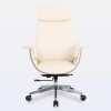 Cadeira Ergonômica Presidente DT3 Mielya
