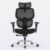 Cadeira de Escritório Ergonômica DT3 Ergonomie Home