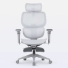Cadeira de Escritório Ergonômica DT3 Ergonomie - comprar online