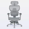 DT3 ErgoOne Atom Ergonomic Office Chair - buy online