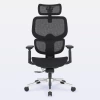 DT3 Ergonomie 4D Ergonomic Office Chair on internet