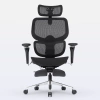 Cadeira de Escritório Ergonômica DT3 Ergonomie na internet