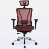 DT3 Moira Ergonomic Office Chair - buy online