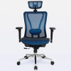 DT3 Moira Ergonomic Office Chair - buy online