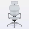DT3 Ergonomie 4D Ergonomic Office Chair - buy online