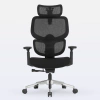 Cadeira de Escritório Ergonômica DT3 Ergonomie Home - loja online