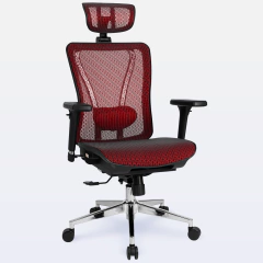 Cadeira de Escritório Ergonômica DT3 Moira - comprar online
