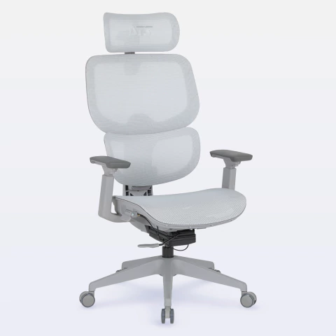 DT3 Ergonomie 4D Ergonomic Office Chair - buy online