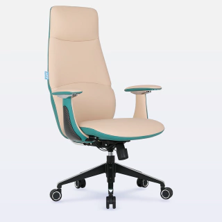 Cadeira Ergonômica Presidente DT3 Vivance - comprar online