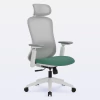 DT3 Elin Ergonomic Office Chair on internet