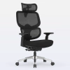 Cadeira de Escritório Ergonômica DT3 Ergonomie Home - DT3 | Cadeiras Ergonômicas de Qualidade