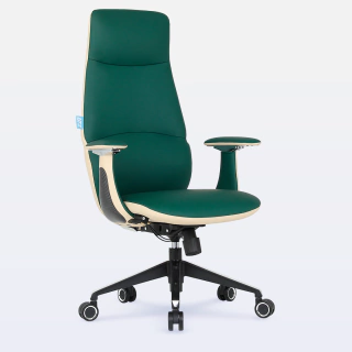 Cadeira Ergonômica Presidente DT3 Vivance - comprar online