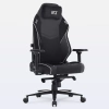 DT3 N10 Squad Ergonomic Gaming Chair on internet