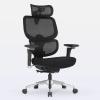 Cadeira de Escritório Ergonômica DT3 Ergonomie Home