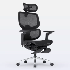 Cadeira de Escritório Ergonômica DT3 Ergonomie - comprar online
