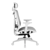 Silla de Oficina Ergonómica DT3 Diana en internet