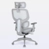 DT3 Ergonomie 4D Ergonomic Office Chair on internet