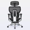 DT3 ErgoOne Atom Ergonomic Office Chair on internet