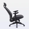 Cadeira Ergonômica Presidente DT3 Valen na internet