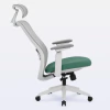 DT3 Elin Ergonomic Office Chair