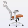 DT3 Elin Ergonomic Office Chair