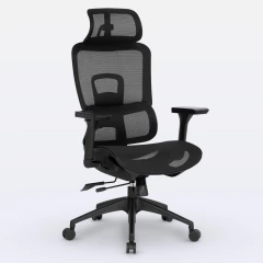 Cadeira de Escritório Ergonômica DT3 Valor Special Edition - comprar online