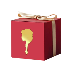 Aplique em acrílico espelhado Frozen Elsa Ana- (ap-02) Kit 10 unid - comprar online