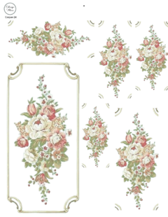 Coquette Coque-24