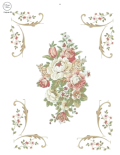 Coquette Coque-25