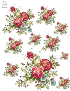Coquette Coque-31