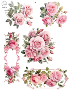 Coquette Coque-32 Transfer premium