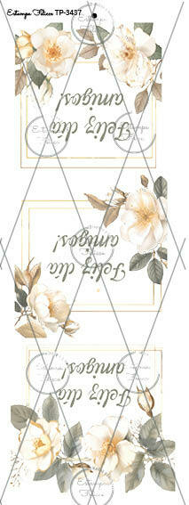 Transfer premium TP - 3437