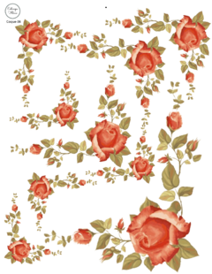 Coquette Coque-36