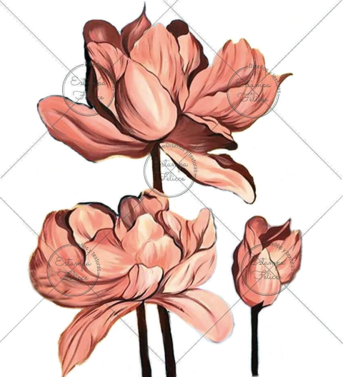 Folex transfer color® Maxi GG-09 - comprar online