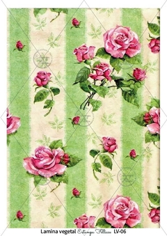 Lámina Vegetal LV-06